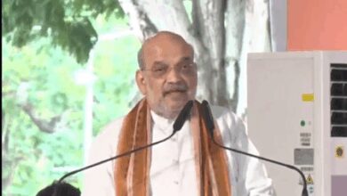 Op Sindoor an example to show when fight to maintain Swaraj is needed, says HM Shah