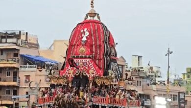 Bahuda Yatra: Rathas roll toward Srimandir in spirit of devotion and ritual
