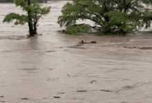 Death toll in Texas flood rises to over 65; rescue operations underway