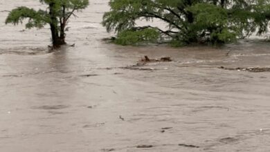 Death toll in Texas flood rises to over 65; rescue operations underway