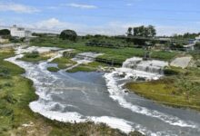 TN farmers, activists to launch hunger strike from July 13 demanding revival of Noyyal River