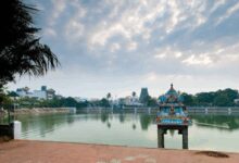 After NGT nudge, TN govt to install steel mesh around Kapaleeswarar Temple tank