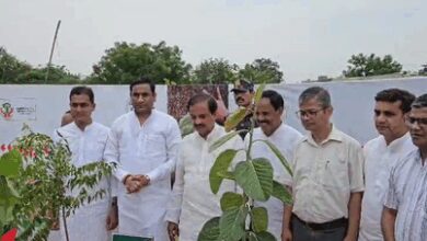 UP ministers lead massive tree plantation drive under ‘Ek Ped Maa Ke Naam’ campaign