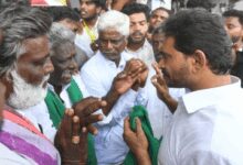 Jagan Mohan Reddy asks Naidu govt to procure entire mango produce at Rs 12 per kg