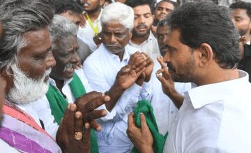 Jagan Mohan Reddy asks Naidu govt to procure entire mango produce at Rs 12 per kg