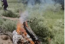 Rajasthan CM, Guv express condolences after IAF fighter jet crashes in Churu