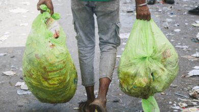Taj city’s green push turns landfill into Miyawaki forest