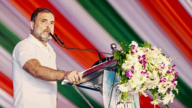 BJP looting land, forest, water: Rahul Gandhi at ‘save Constitution’ rally in Odisha