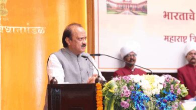 Maha Dy CM Ajit Pawar urges Centre to immediately stop illegal import of raisins from China