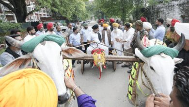 Punjab Assembly passes Bill to allow bullock cart races in Kila Raipur rural games