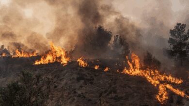 Wildfires continue in Bosnia