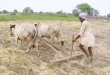 TN farmers urge Centre to implement modified Pandiyaru-Moyyar river link scheme