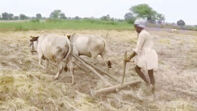 TN farmers urge Centre to implement modified Pandiyaru-Moyyar river link scheme