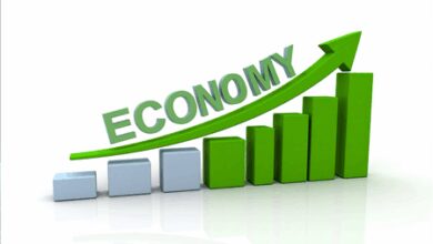 Favourable agricultural output, easing inflation to support rural consumption in FY26: Report