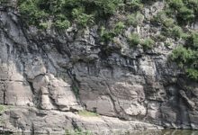 South Korea’s prehistoric petroglyphs inscribed on UNESCO World Heritage list