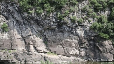 South Korea’s prehistoric petroglyphs inscribed on UNESCO World Heritage list