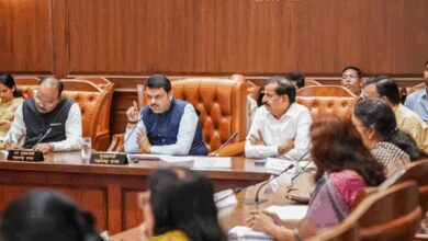 Accelerate development of logistics hub for industrial expansion in Dhule: CM Fadnavis