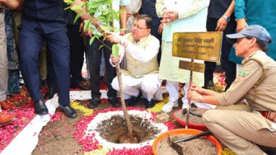 Uttarakhand goes greener: Over 8 lakh trees planted state-wide during Harela Festival