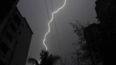 Three killed in lightning strikes in Bihar’s Nalanda