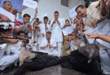MP Congress MLAs stage symbolic flute protest on Nag Panchami, slam govt over jobs