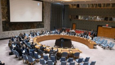 UN Security Council extends sanctions against Central African Republic armed groups