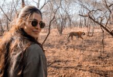 Malavika Mohanan on why she thinks the tiger is her spirit animal!
