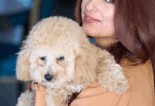 Twinkle Khanna calls out her pet dog’s unimpressed attitude in playful post