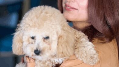 Twinkle Khanna calls out her pet dog’s unimpressed attitude in playful post