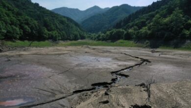 UN-backed report warns of escalating global drought risk, calls for urgent action