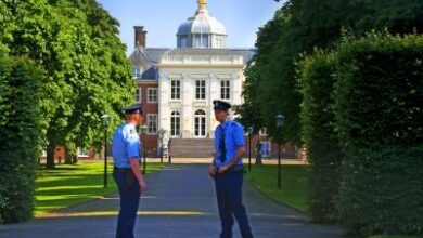 Netherlands hit by first official heatwave in three years: Meteorological institute