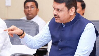 Condition about obtaining non-agricultural land license should be removed for MSMEs: CM Fadnavis