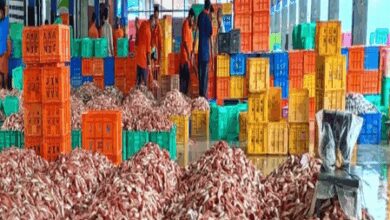 Women form nearly half of India’s small scale fisheries workforce: Study