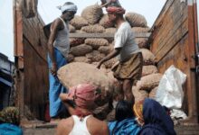 Food inflation for farm and rural labourers stays in negative zone during August
