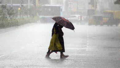 Heavy rain likely in six Tamil Nadu districts today, IMD issues warning