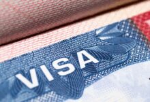 H-1B Visa Fee only for new petitions, not renewals: White House (IANS Exclusive)