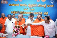 ‘Hasty caste census, inclusion of Hindu castes along with Christianity not required’