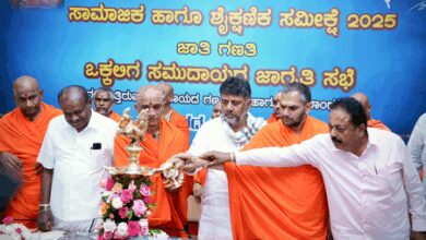 ‘Hasty caste census, inclusion of Hindu castes along with Christianity not required’