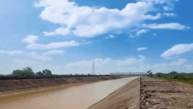Sujalam-Sufalam scheme: Gujarat farmers no longer dependent on rain for farming