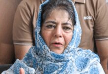 Mehbooba Mufti slams NC govt for allowing 99 pc of C-grade apple crop to go waste