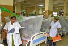 Bangladesh: Six people die of dengue, 2025 death toll rises to 167