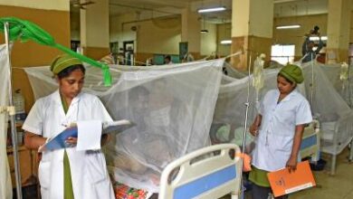 Bangladesh: Six people die of dengue, 2025 death toll rises to 167