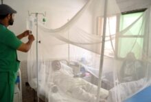 Pakistan: 12 anti-dengue workers dismissed in Rawalpindi for faking attendance