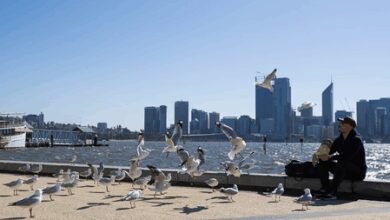 Climate Change linked to nearly 100,000 deaths from 2023 Heatwaves, global study finds