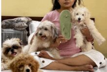 Jaya Bhattacharya quips her ‘slippers’ lost to the ‘boarding squad’