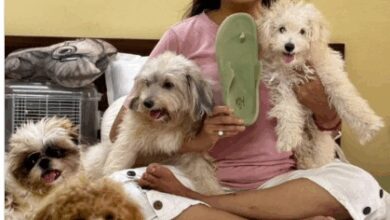 Jaya Bhattacharya quips her ‘slippers’ lost to the ‘boarding squad’