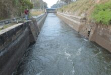 TN: PAP canal breach delays water release, farmers demand quick action