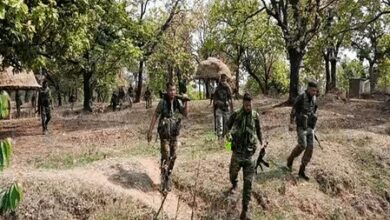 41 armed Maoist cadres surrender in Chhattisgarh