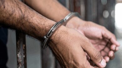 Major gold seizure by BSF along India-B’desh border in Bengal; 2 arrested