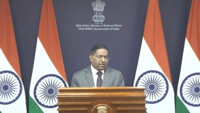 India supports all efforts aimed at bringing lasting peace: MEA on Russia-Ukraine plan