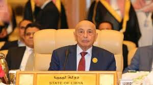 Libyan parliament speaker calls for immediate presidential election